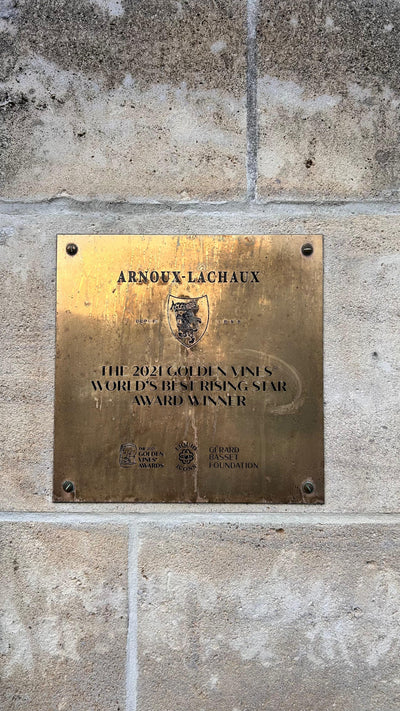 Domaine Arnoux-Lachaux 2022 — The Vintage that Opens a New Era in Burgundy