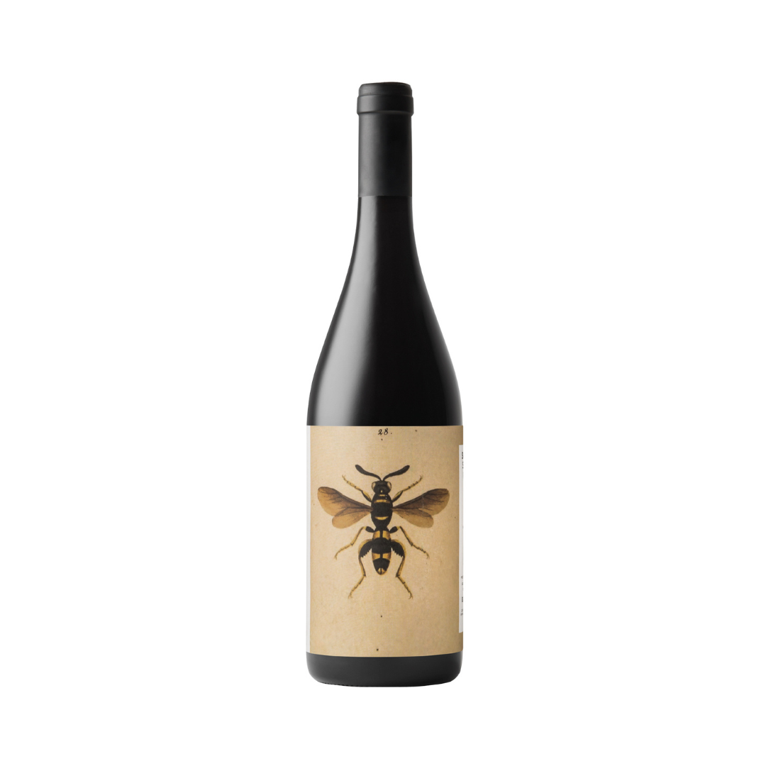 Bottle of Noelia Ricci Il Sangiovese 2023 – organic Sangiovese red wine from Romagna (Predappio), fresh, pure and elegant expression of the terroir.

