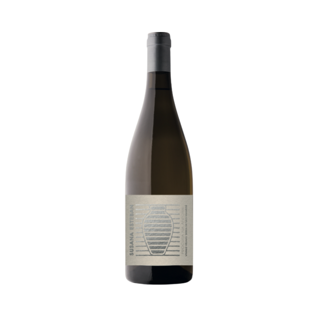 Bottle of Susana Esteban Procura na Ânfora Branco 2023 photographed on raw stone with a clay amphora in the background, evoking its ancient Alentejo vinification method and high-altitude freshness.
