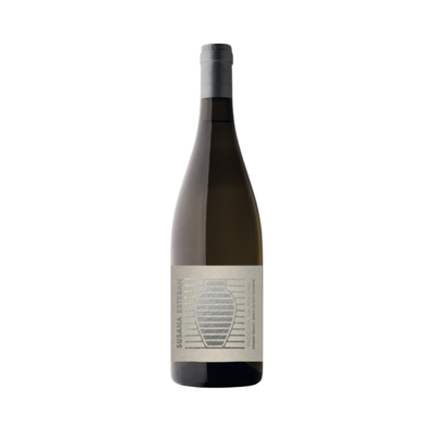 Bottle of Susana Esteban Procura na Ânfora Branco 2023 photographed on raw stone with a clay amphora in the background, evoking its ancient Alentejo vinification method and high-altitude freshness.